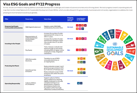 Case Study: Visa ESG Goals and Progress sample with link to the company report