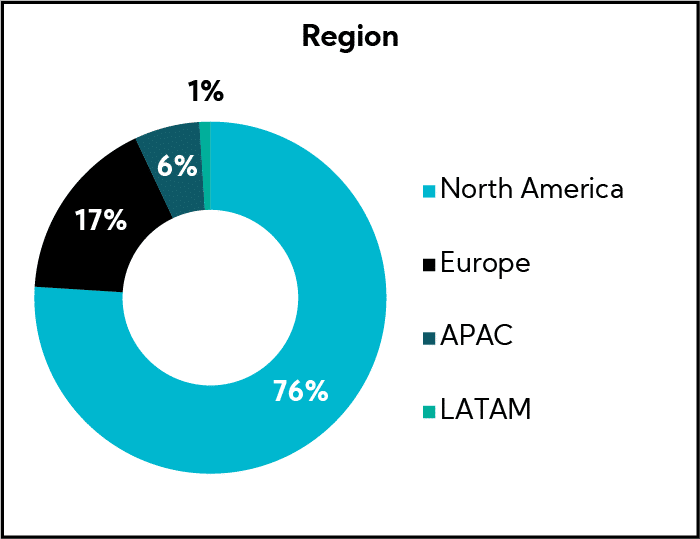 Chart: Investor Perspectives by Region
