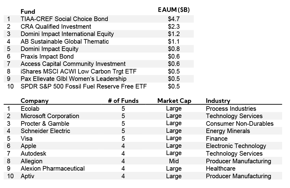 Table: ESG by Company breakdown; Fund EAUM; Company by Market Cap and Industry