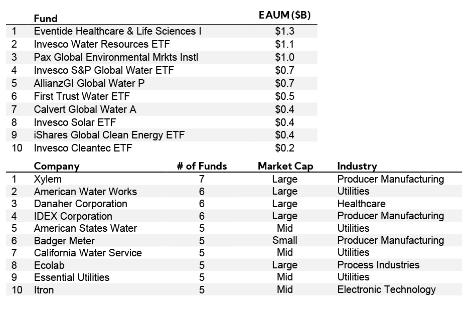 Table: ESG by Company breakdown; Fund EAUM; Company by Market Cap and Industry