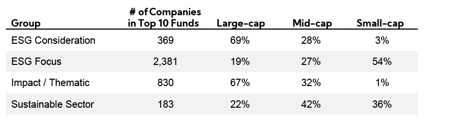 Table: ESG Consideration by market cap