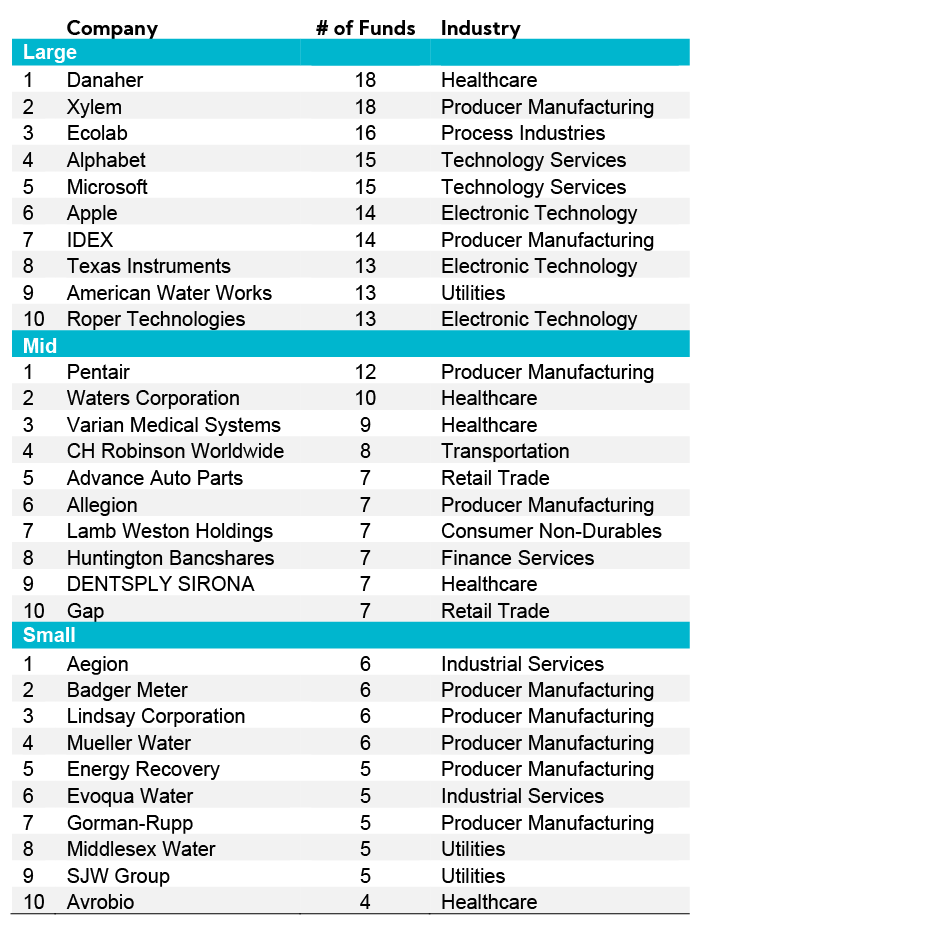 Table: Top 10 Companies per market cap