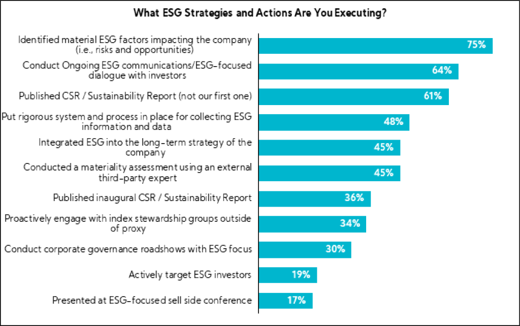Chart: What ESG Strategies and Actions are you Executing ?